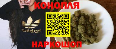 сатива Бийск