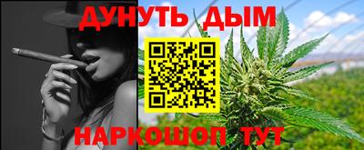 сатива Бийск