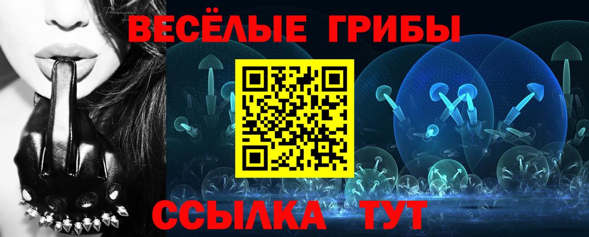 Псилоцибиновые грибы Cubensis Дербент