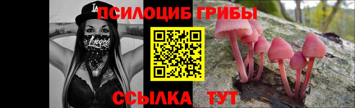 Дербент  Псилоцибиновые грибы Cubensis  Псилоцибиновые грибы мицелий  цена   Вход с VPN 