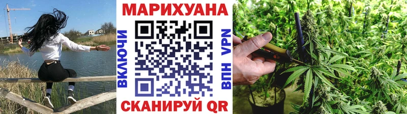 Бошки марихуана ГИДРОПОН  omg зеркало  Дербент  наркота 